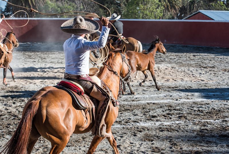 Charrería: Mexico’s National Sport and Cultural Heritage