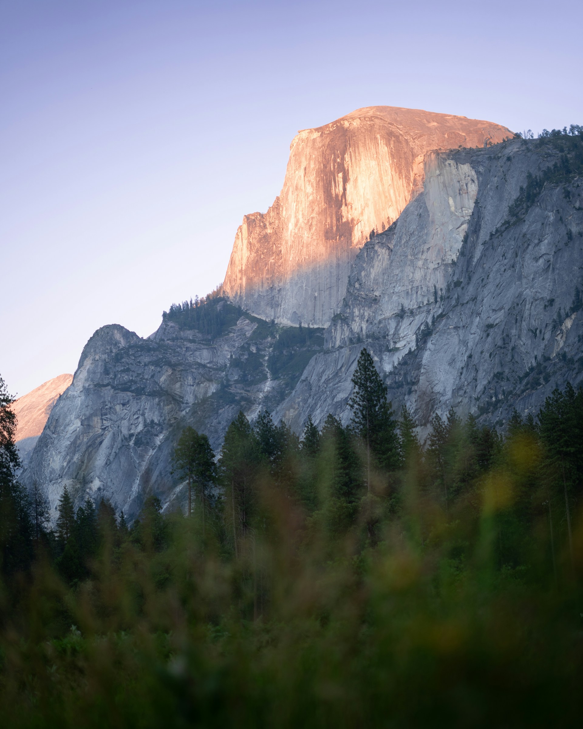 Test Article: My Article