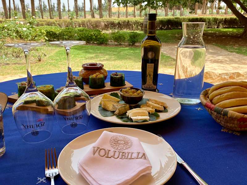 Moroccan Wines: A Guide to Vineyards and Wine Regions