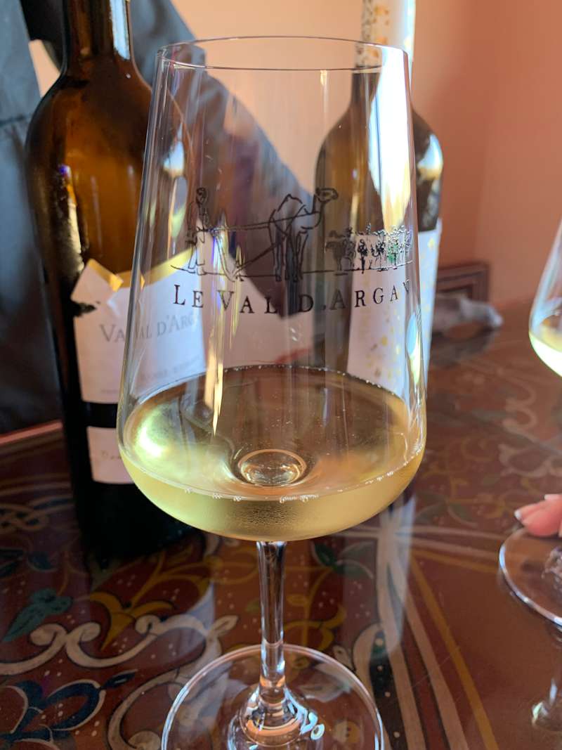 Moroccan Wines: A Guide to Vineyards and Wine Regions