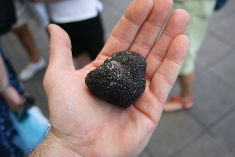 Istrian Food Guide: Truffles, Wine and Adriatic Flavors
