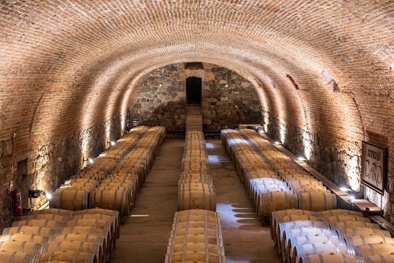 How Mendoza’s Wineries Are Facing Climate Change