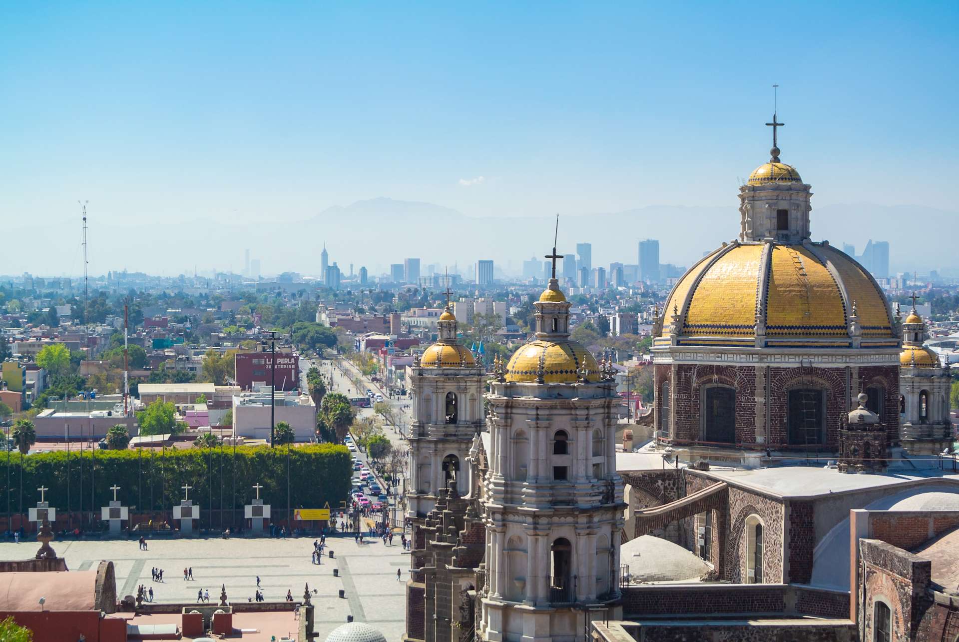Fernwayer's Things to Do in Mexico City