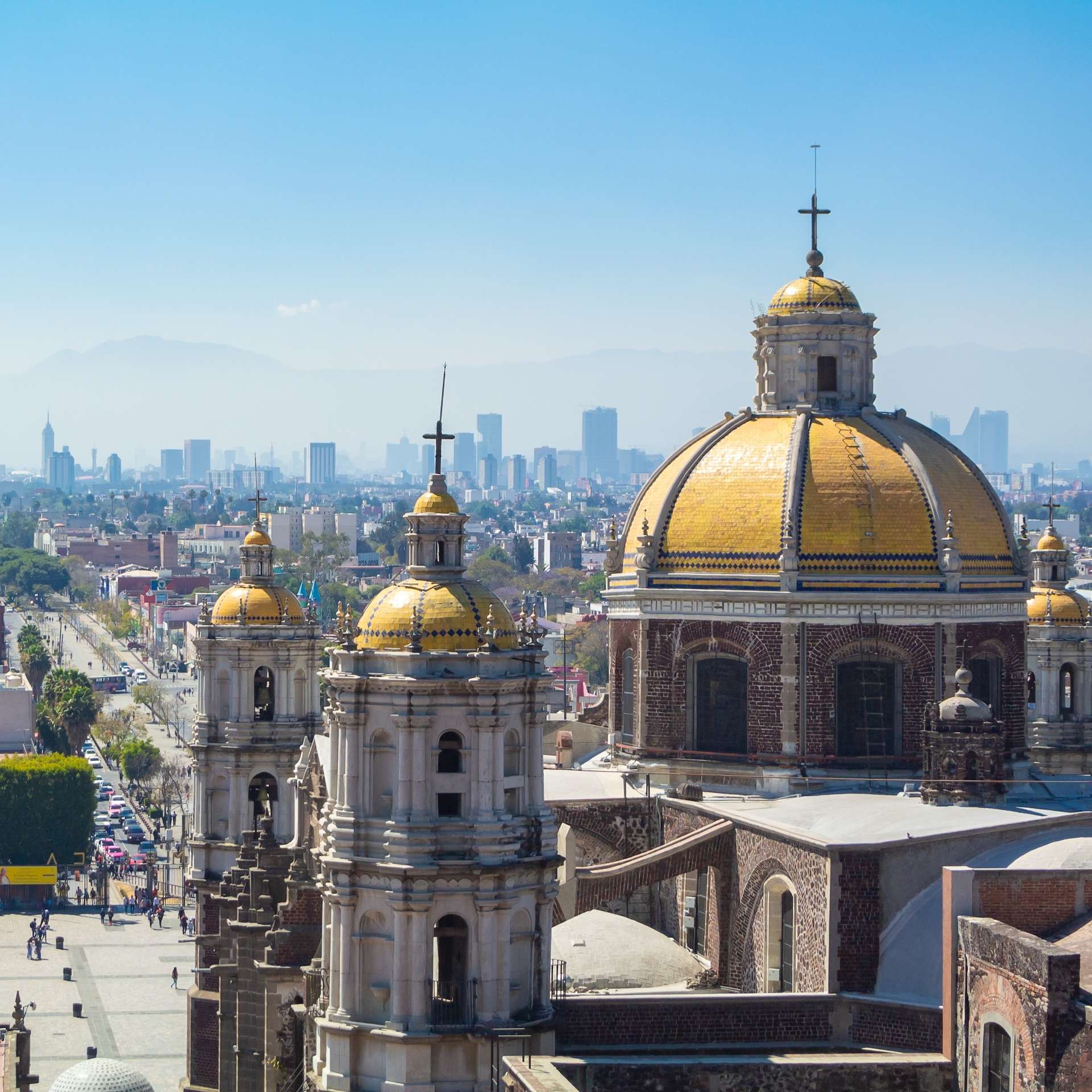 Fernwayer's Things to Do in Mexico City