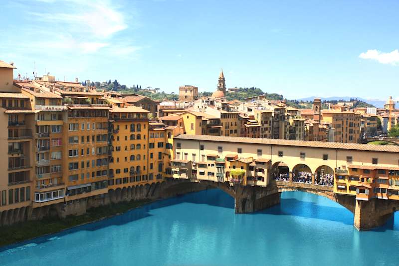 The Medici Family and the City of Florence in the Renaissance