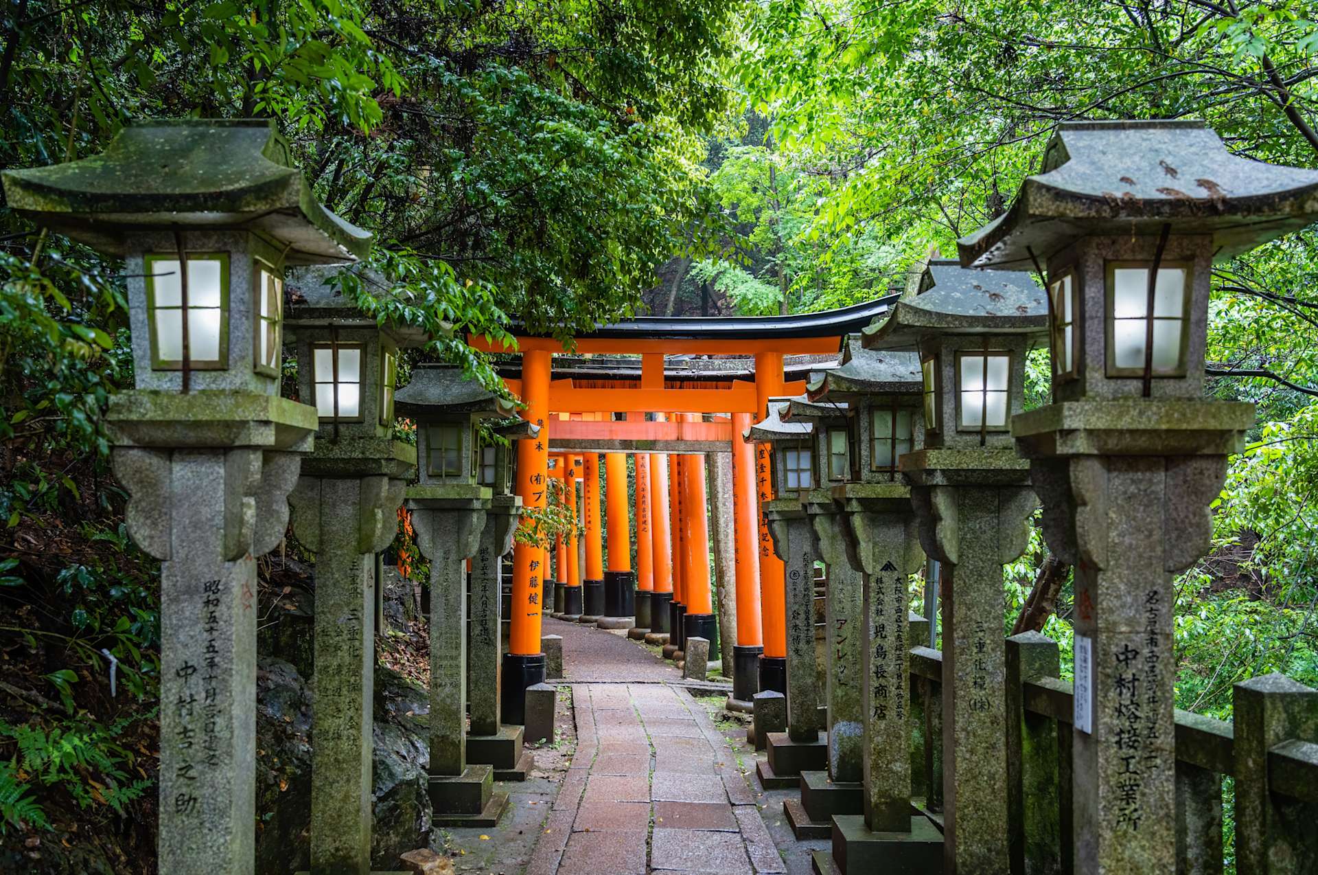 Fernwayer's Things to Do in Kyoto