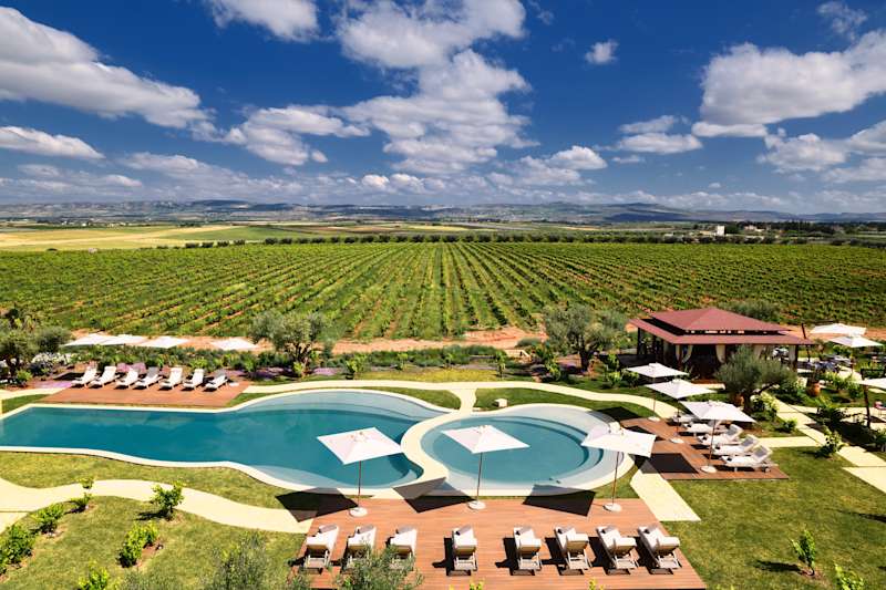 Moroccan Wines: A Guide to Vineyards and Wine Regions
