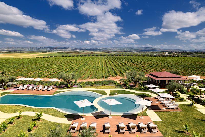 Moroccan Wines: A Guide to Vineyards and Wine Regions