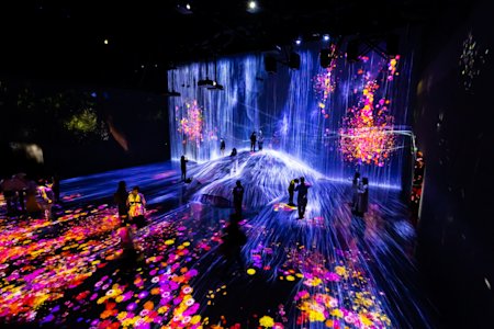 Why Visit Now: Tokyo