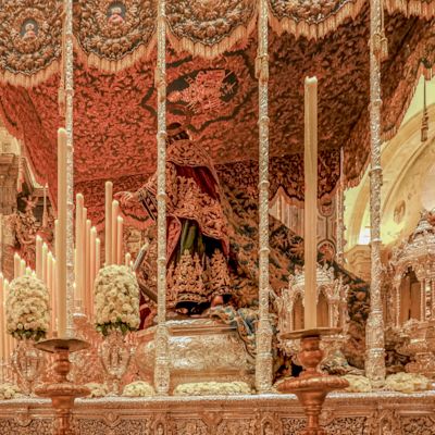 Canopy of Brocade