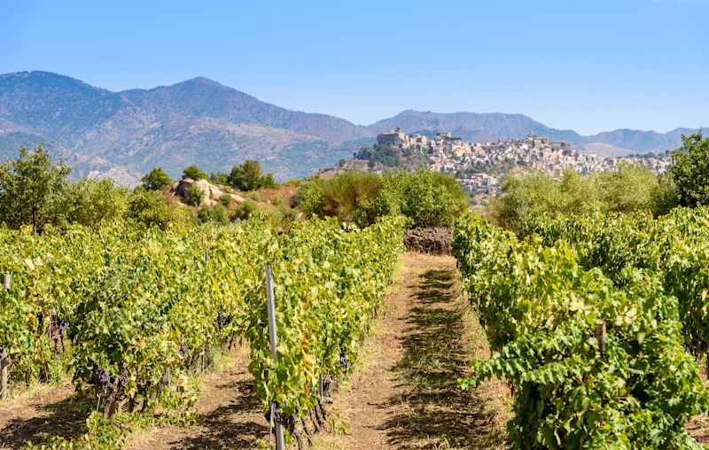 Train Travel in Sicily: Around Mount Etna by Rail
