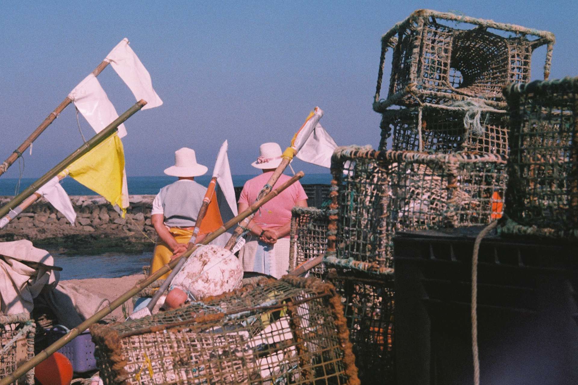 Fernwayer's Things to Do in Porto