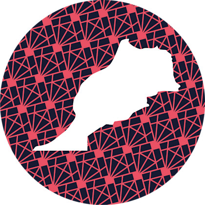 450 x450 px MOROCCO shape