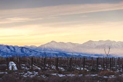 Uco Valley
