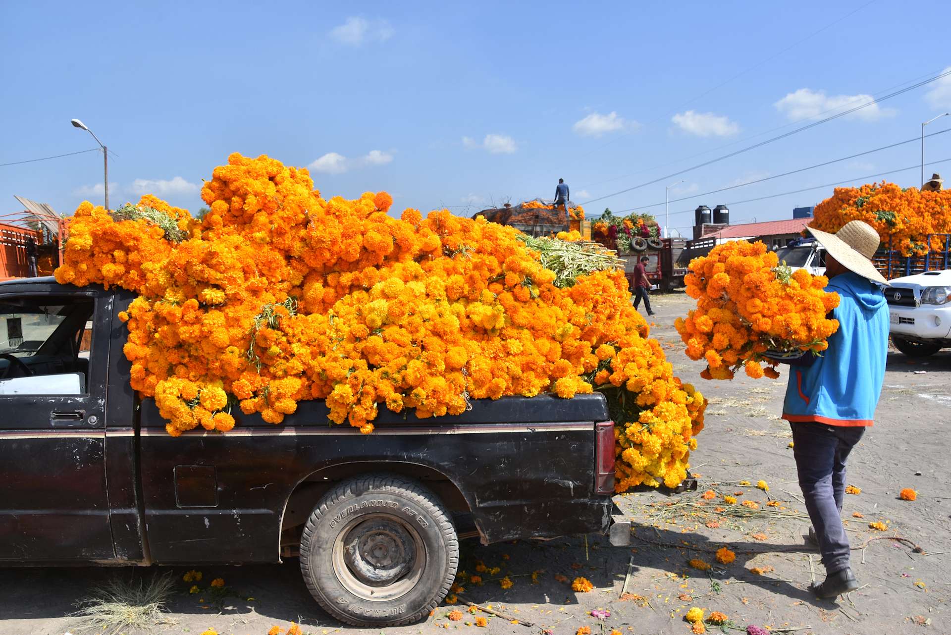 Remembering the Dead in Mexico’s City of Flowers