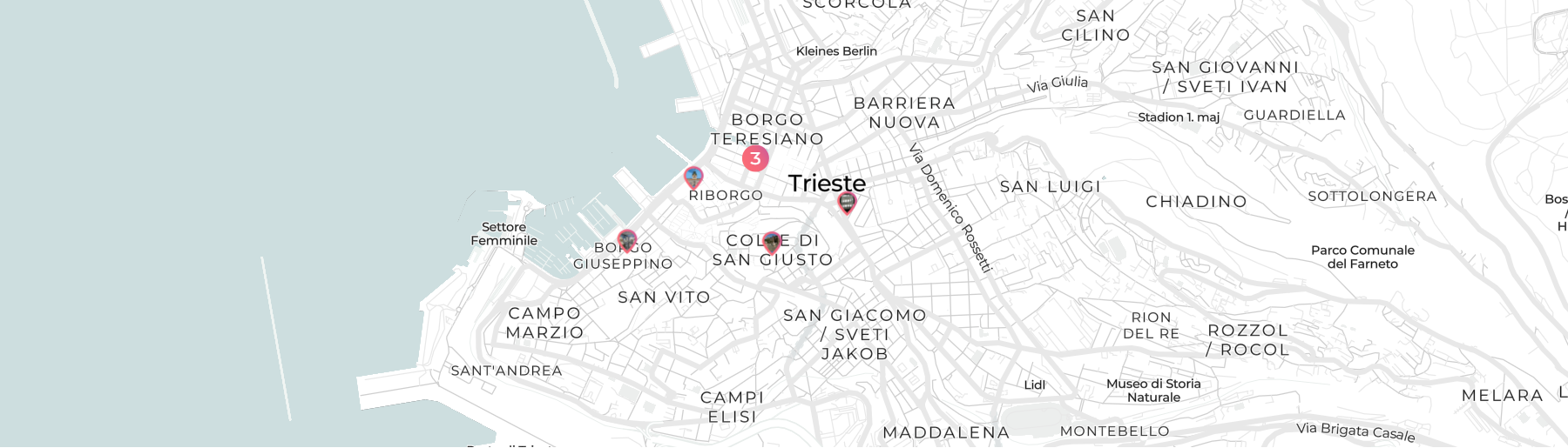 Fernwayer's Private Tours in Trieste: Book Instantly