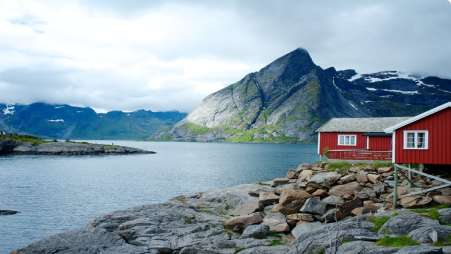 Mitre Peak In The Fjords