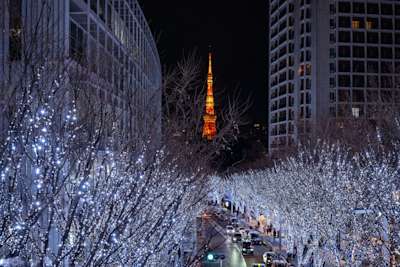 Roppongi and Azabu
