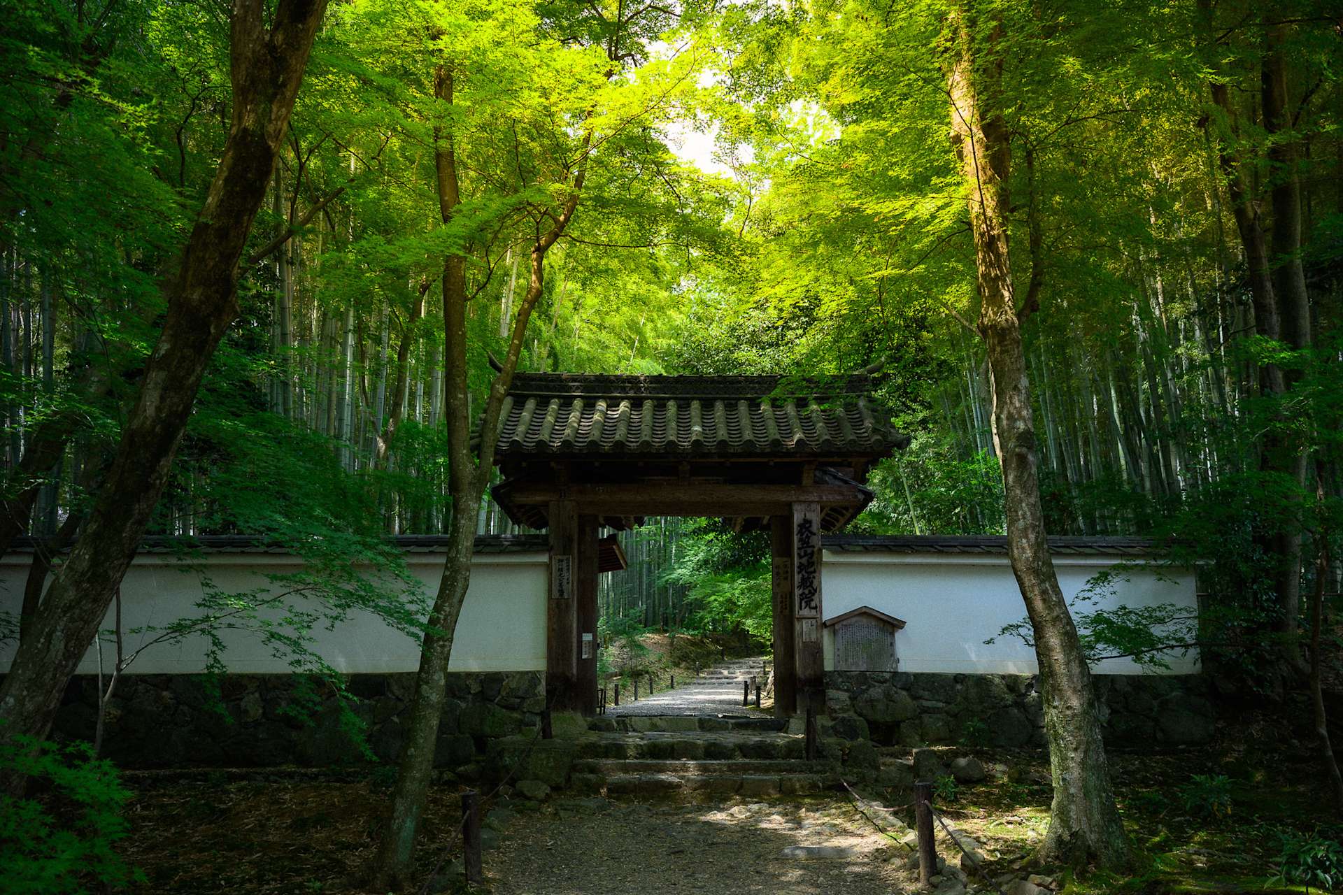 Hope Remains for Japan’s Disappearing Shrines and Temples