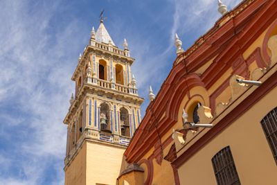 Triana