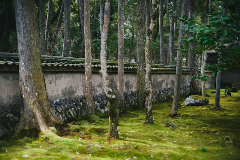 Hope Remains for Japan’s Disappearing Shrines and Temples