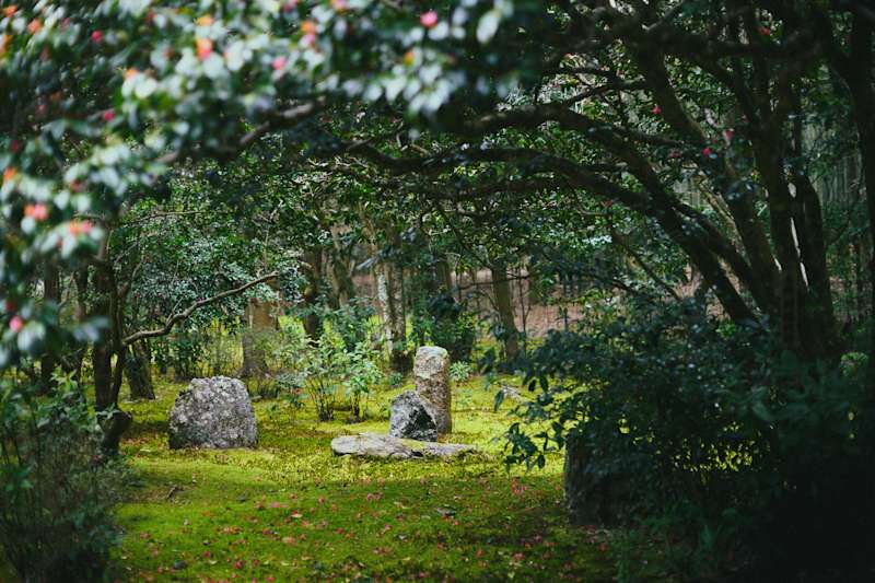 Hope Remains for Japan’s Disappearing Shrines and Temples