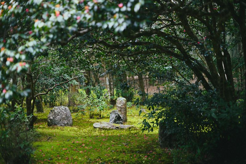 Hope Remains for Japan’s Disappearing Shrines and Temples