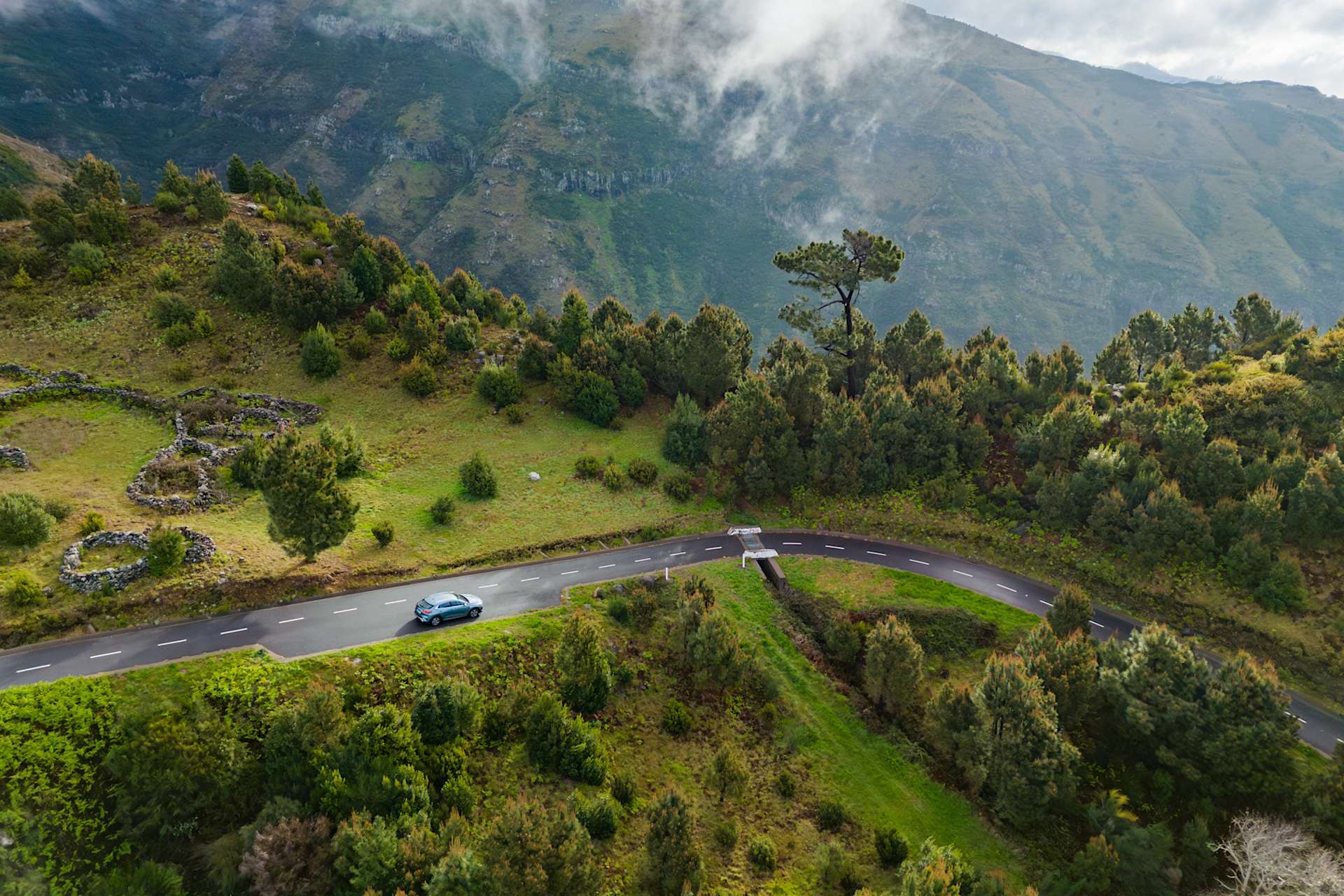 Fernwayer's Things to Do in Madeira