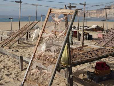 Seafood sun-drying on racks