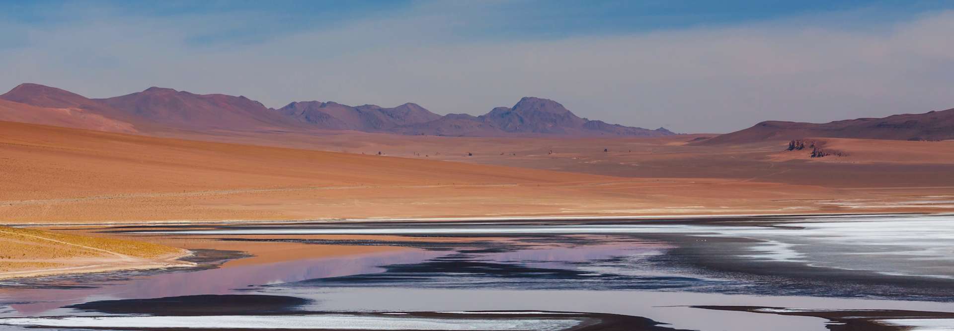 The Art of Living in the Atacama Desert