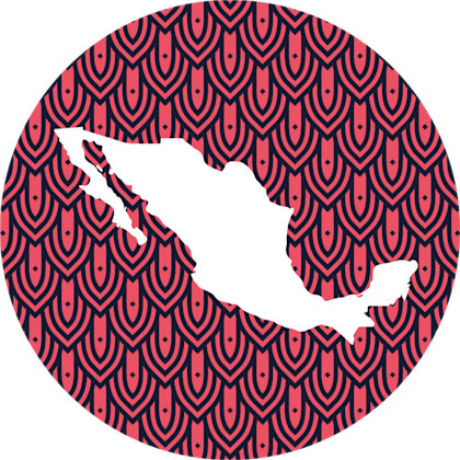 450 x450 px MEXICO shape