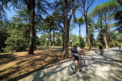 Forest and nature trails