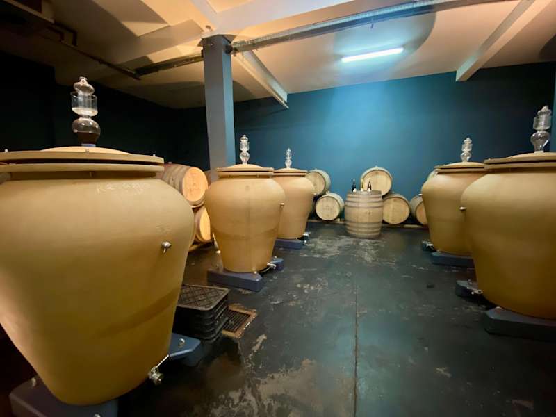 Moroccan Wines: A Guide to Vineyards and Wine Regions