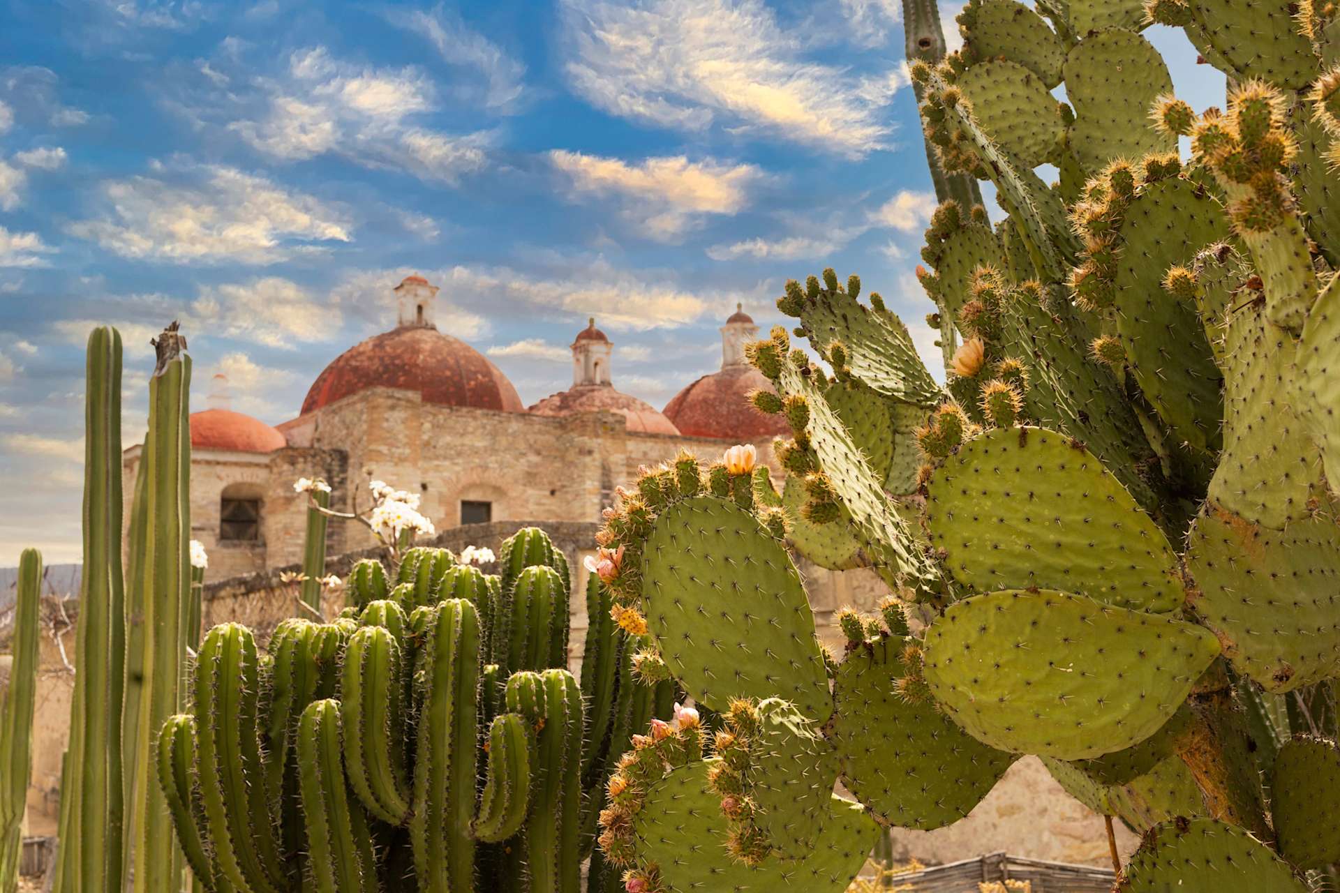 Fernwayer's Things to Do in Oaxaca