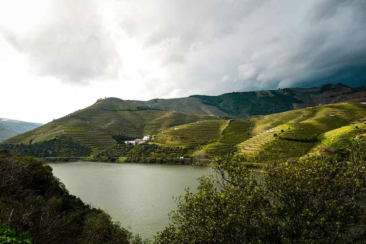 Douro Valley Tours: How to Choose The Right One for You