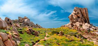 Gallura