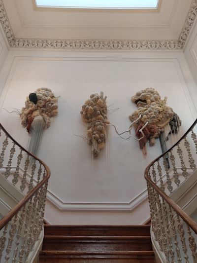 Vanessa Barragão's vision