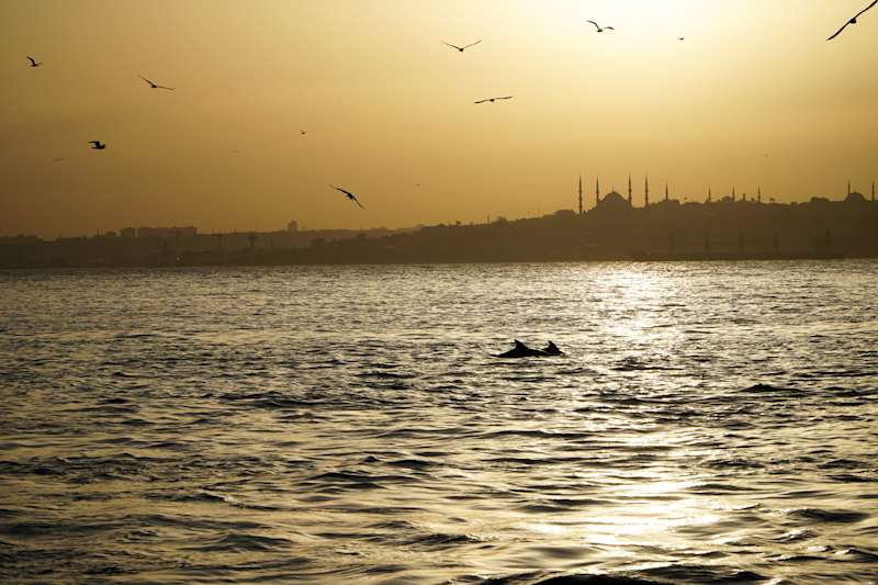 Visit Istanbul: History, Food and Contemporary Culture