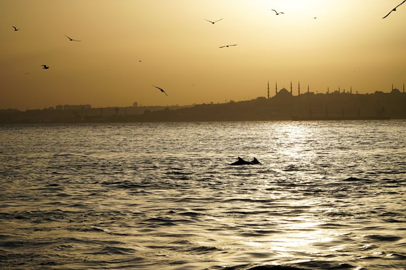 Visit Istanbul: History, Food and Contemporary Culture