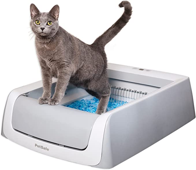PetSafe Self-Cleaning Litter Box Review: Is It Worth It?