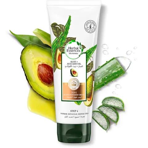 cost of aloe vera plant Buy 'Large Aloe Vera Plants - Aloe barbadensis' Care and Growing Guide