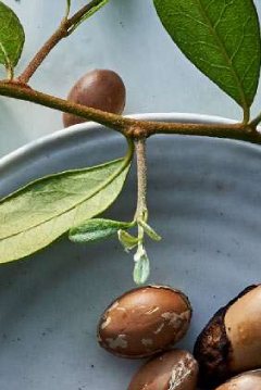 How to Use Hair Oil: 3 Golden Rules | Herbal Essences Arabia