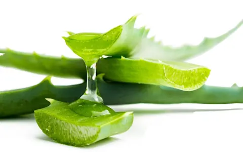 Why is Aloe Vera Good For Hair? | Herbal Essences Arabia