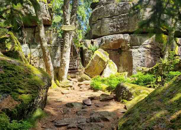 Photographie de delhugansecreation sur la randonnée "Boucle de Thannenkirch"