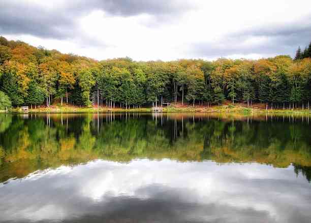 Photographie de a.laur.g dans le parc "Tourbière de Gayme"