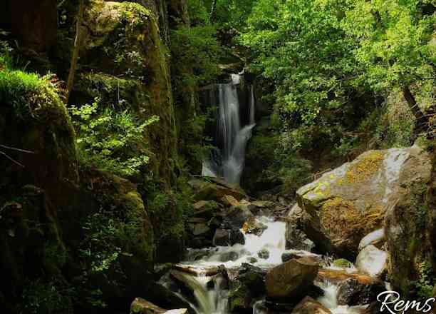 Photographie de faunenature63 dans le parc "Cascades et Gorges d’Enval"