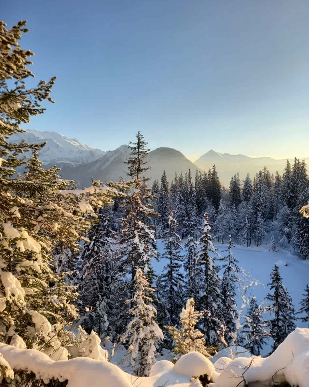 Photographie de wildlife.co.sp sur la randonnée "Plaine Joux et Lac Vert en boucle"