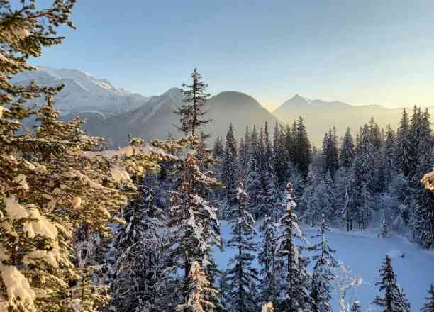 Photographie de wildlife.co.sp sur la randonnée "Plaine Joux et Lac Vert en boucle"