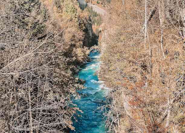 Photographie de monsieurdoudi dans le parc "Refuge de l'Alpe du Pin"