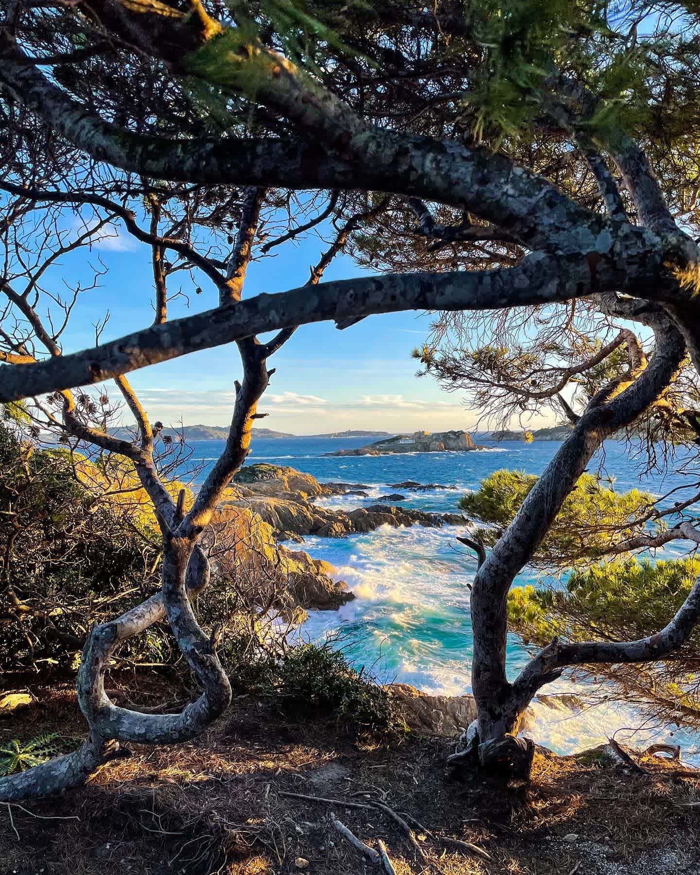 Photographie de thomasjannotta sur la randonnée "Presqu'île de Giens (Est)"